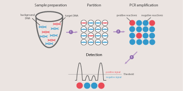 CRISPR Gene Activation Repression