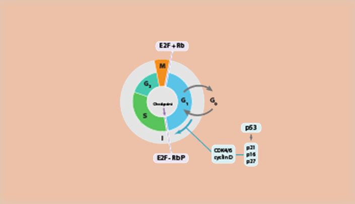 Cell Culture Knowledge Base