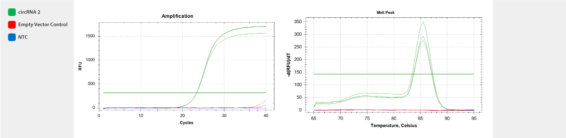 circRNA_2_graph.png