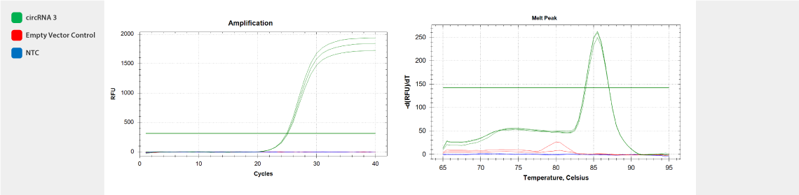 circRNA_3_graph