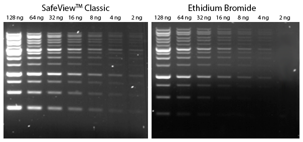 SafeView&trade; Classic is more sensitive than Ethidium Bromide