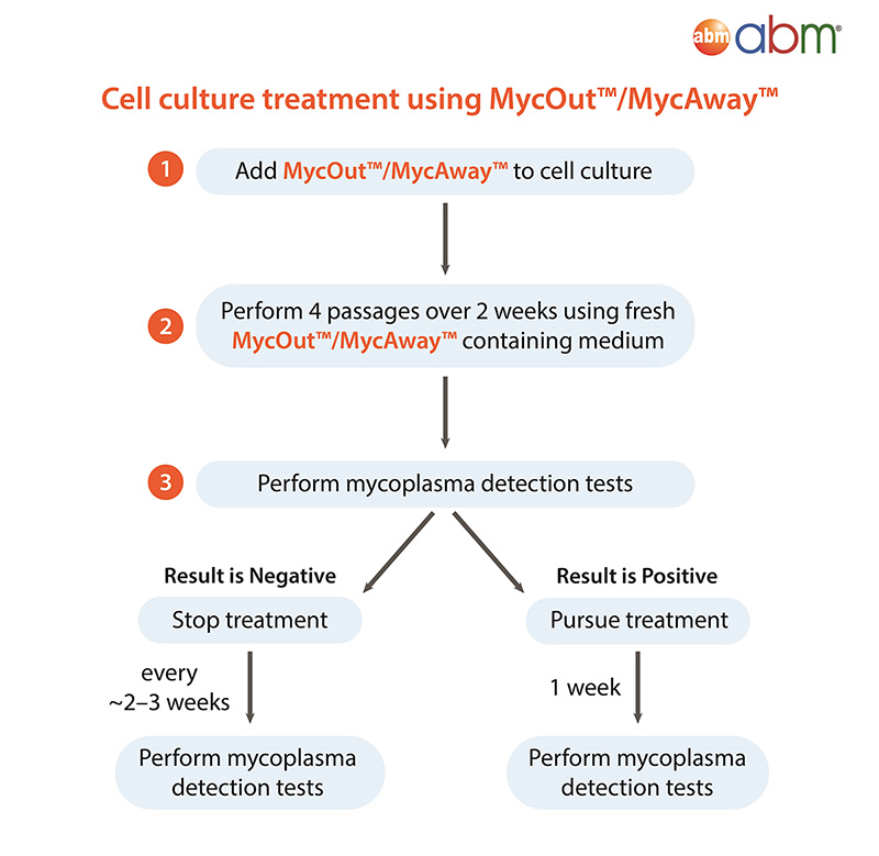 Cell culture treatment using MycOut/MycAway